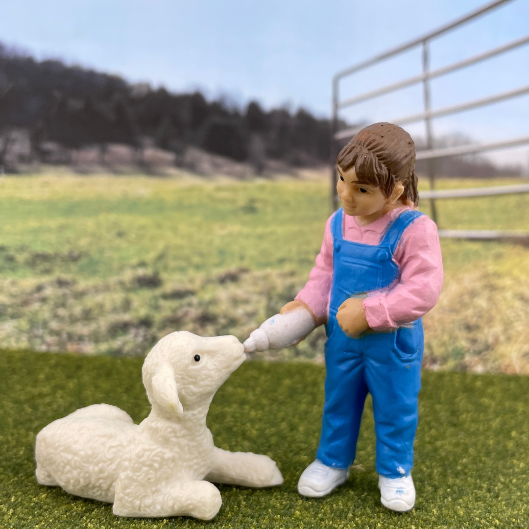 Petting Zoo TOOB® | TOOBS® - Mini Toys | Safari Ltd®