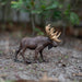 Moose Toy | Wildlife Animal Toys | Safari Ltd®