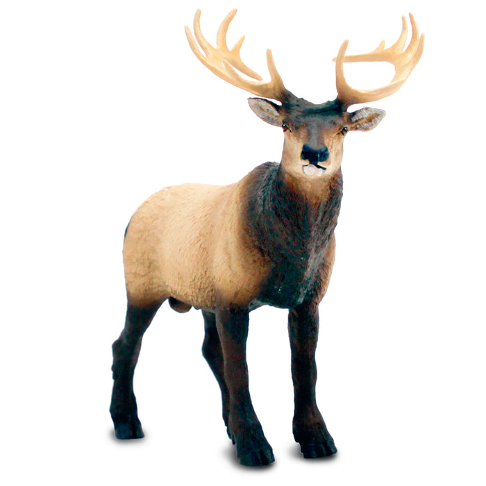 Elk Toy Figure | Wild Wildlife | Safari Ltd®