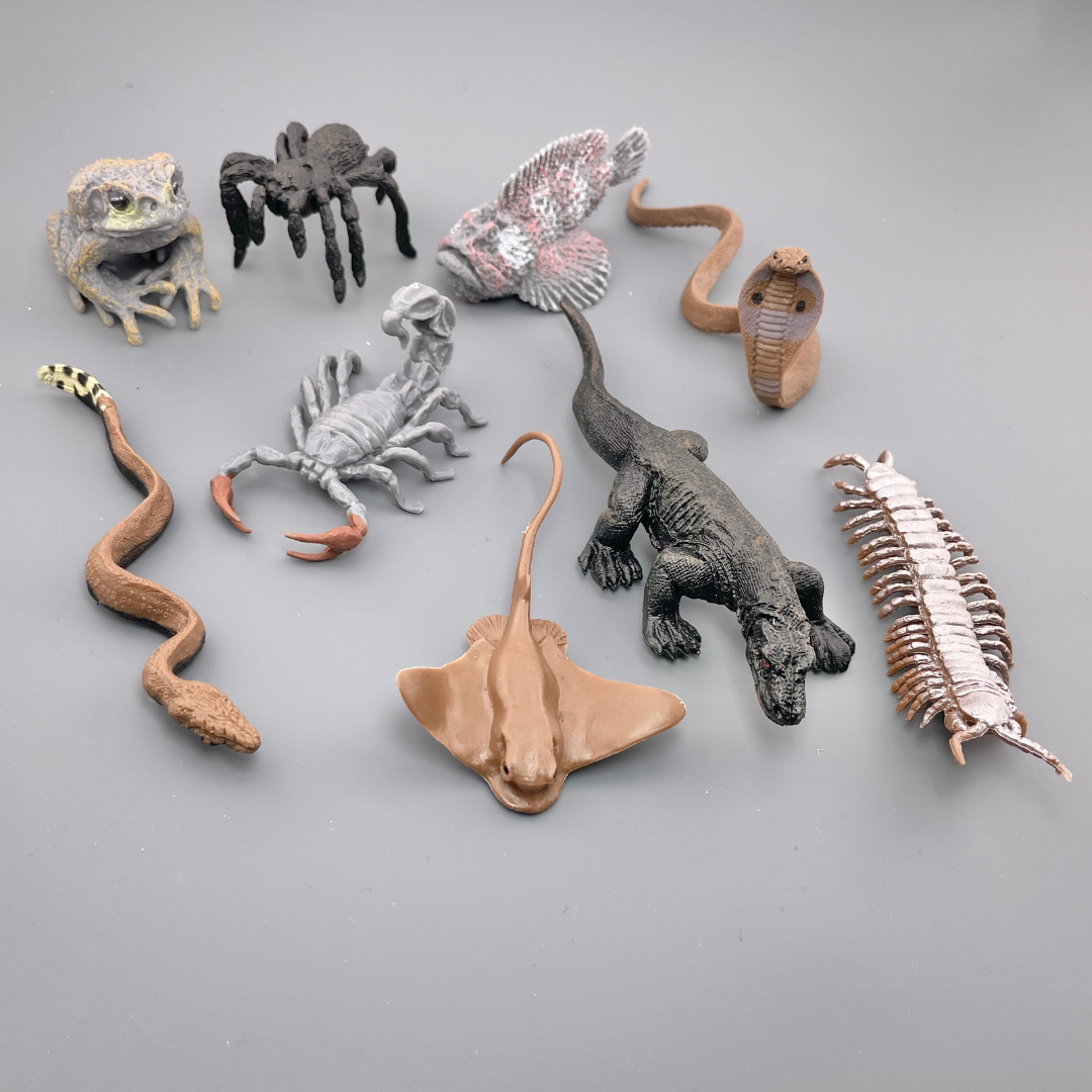 Venomous Creatures TOOB® | TOOBS® - Mini Toys | Safari Ltd®