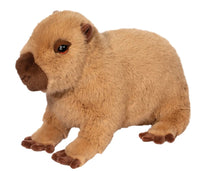The Douglas Chattie Capybara Super Soft plush features light brown fur, a dark brown nose and feet, and round dark eyes. This cuddly stuffed animal is perfect for snuggling and sits on a white background.