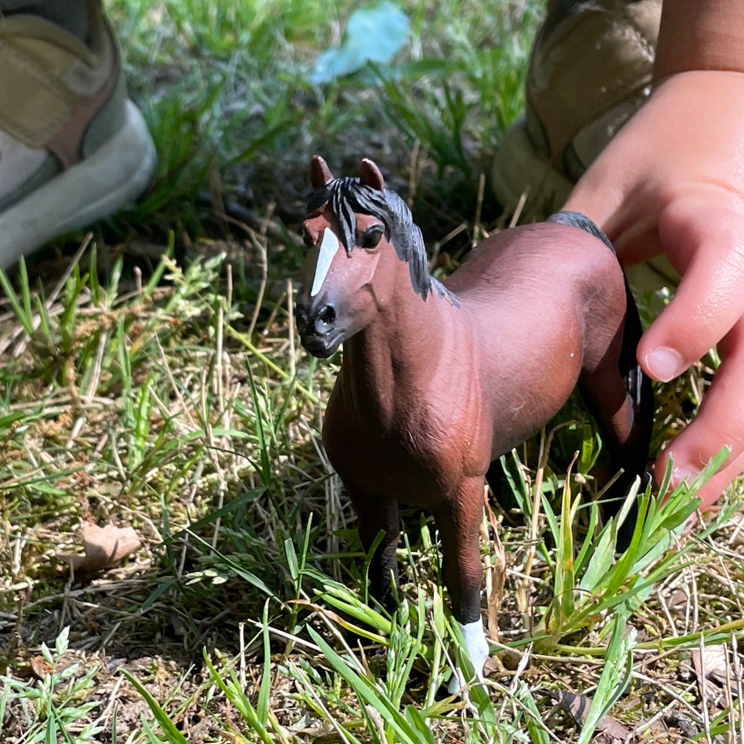 Morgan Stallion Toy | Farm | Safari Ltd®