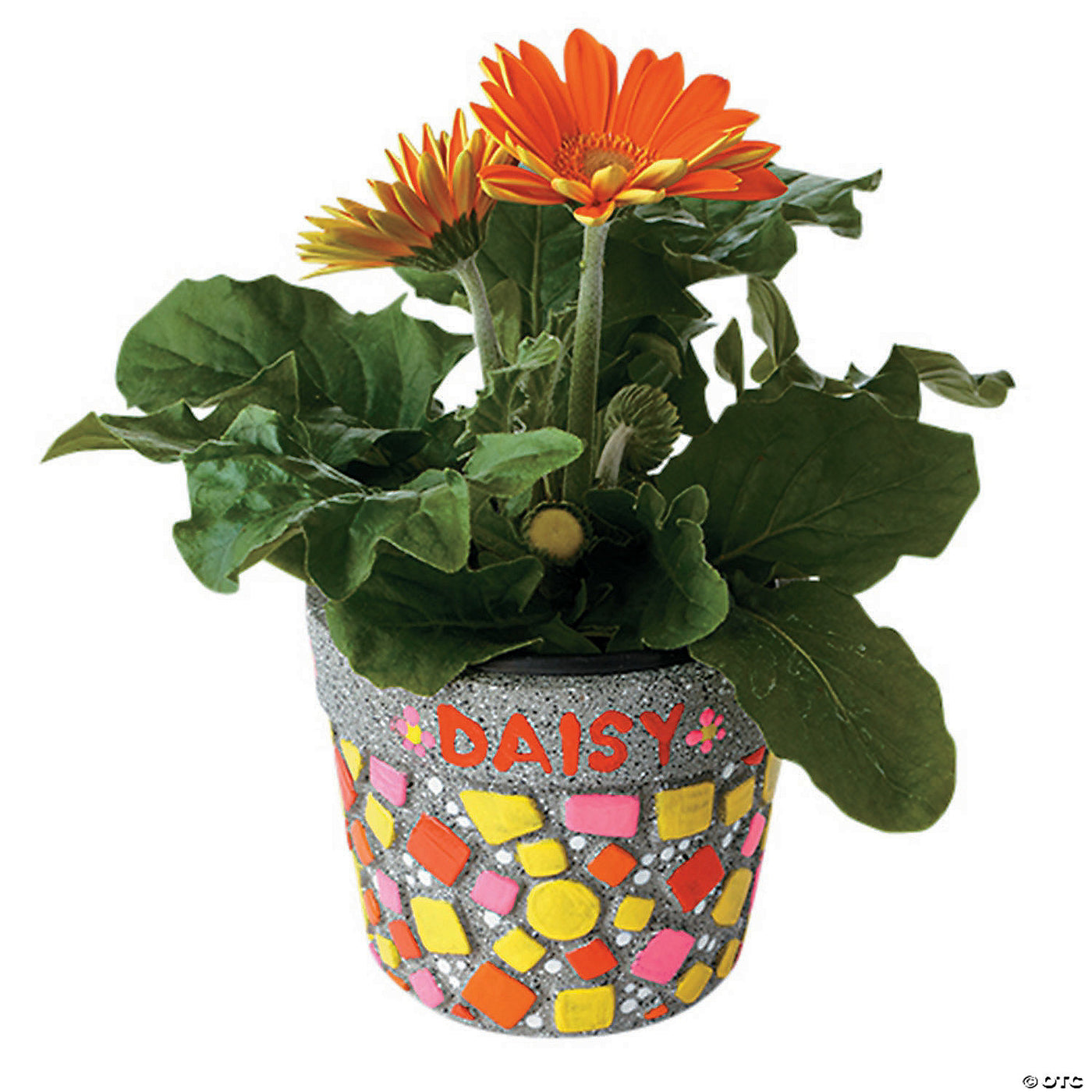 Paint your Own Stone: Mosaic Flower Pot | Mindware | Safari Ltd®