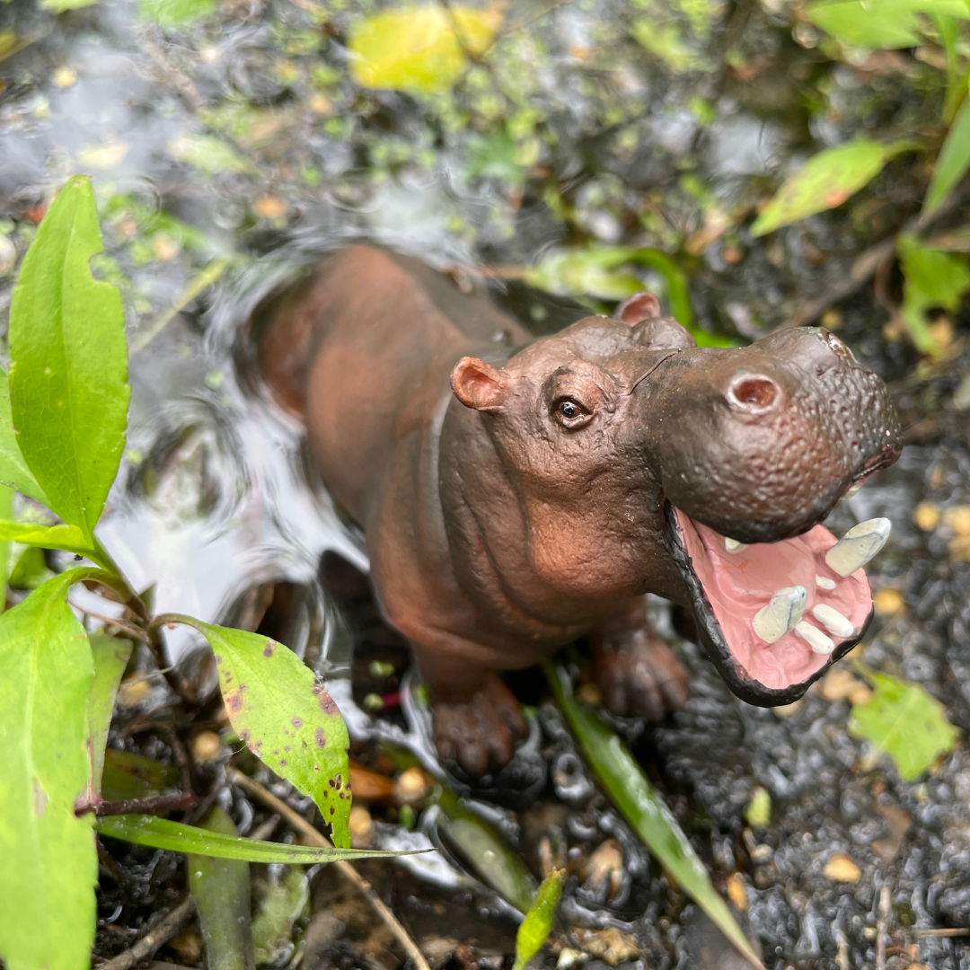Hippopotamus Toy | Wildlife Animal Toys | Safari Ltd®