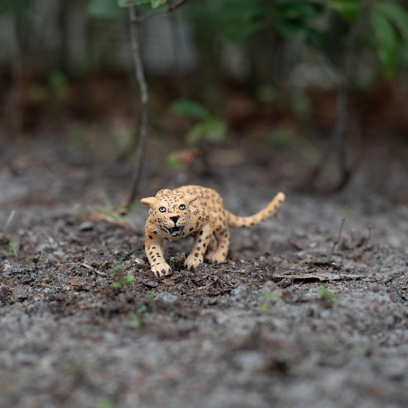 Leopard Toy | Safari Ltd®