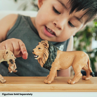 Lion Toy | Wildlife Animal Toys | Safari Ltd®