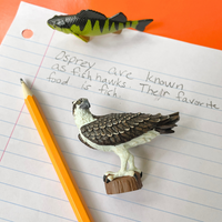 Osprey Toy Bird Figure |  | Safari Ltd®