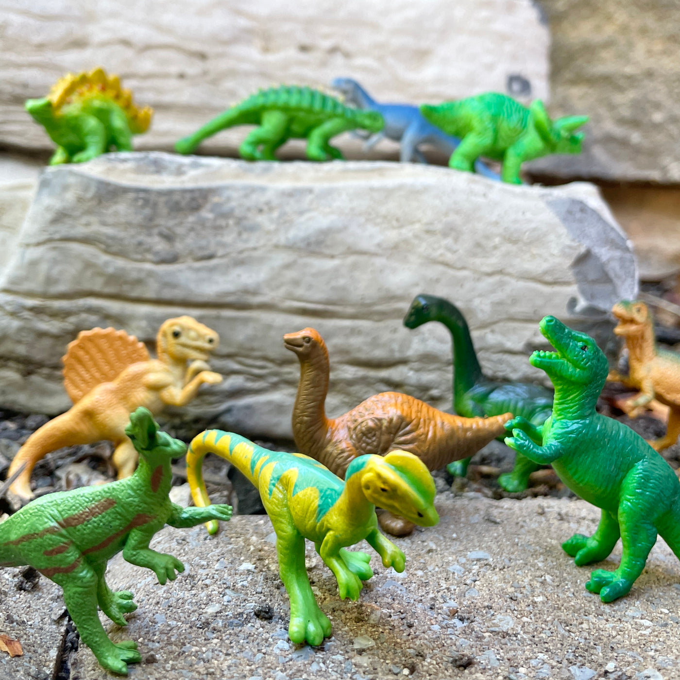 Sue & her Friends TOOB® | TOOBS® - Mini Toys | Safari Ltd®