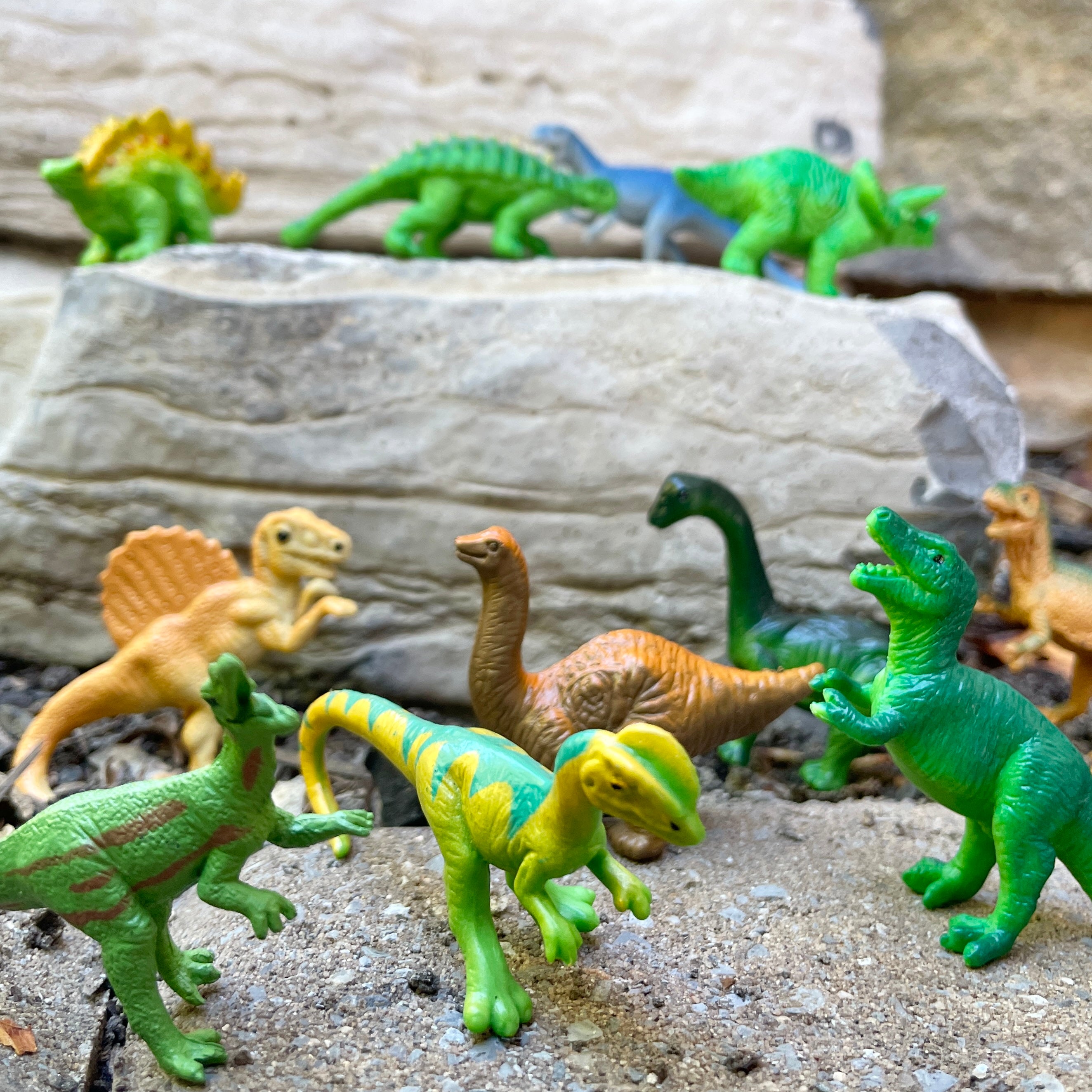 Sue & her Friends TOOB® | TOOBS® - Mini Toys | Safari Ltd®