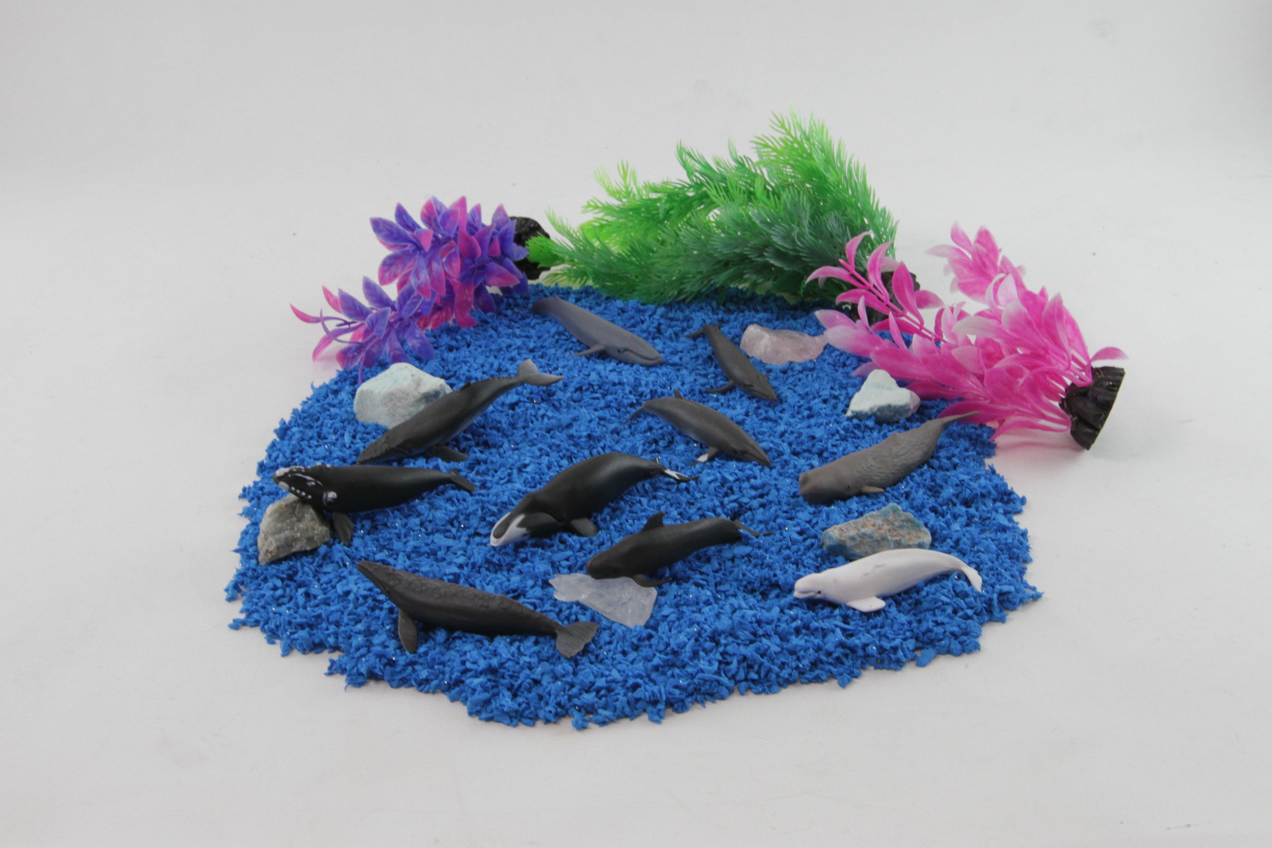 thumbnail image 2 of Safari Ltd Whales And Dolphins Toob – Mini Figure Set – Educational Toy For Kids 5+ 2 of 6