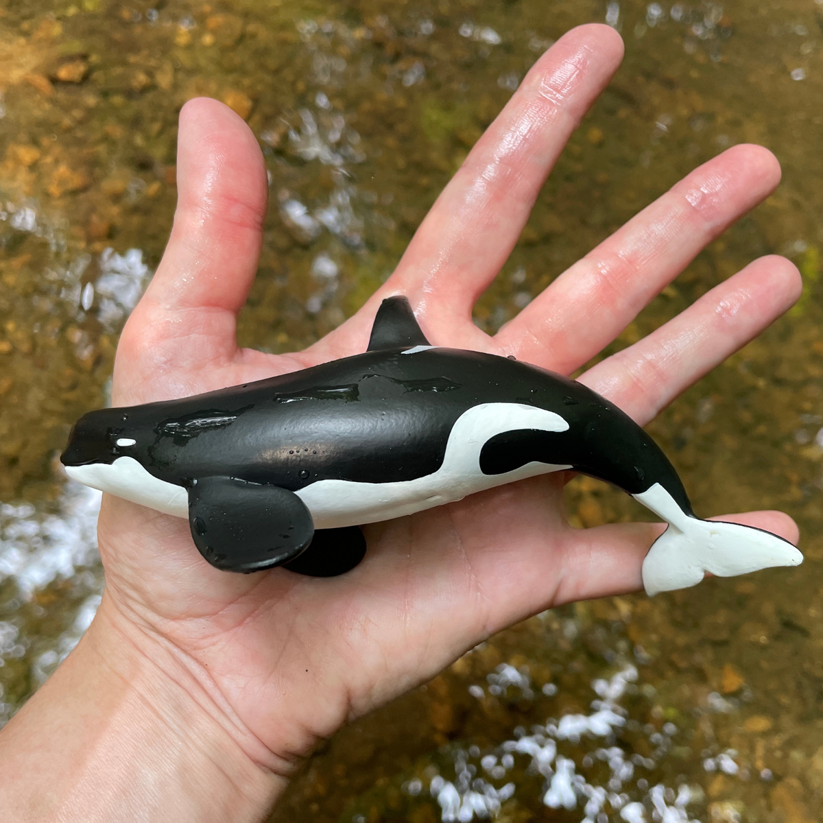 Type D Orca Toy Figure - Unique Sub-Antarctic Killer Whale | Wild ...