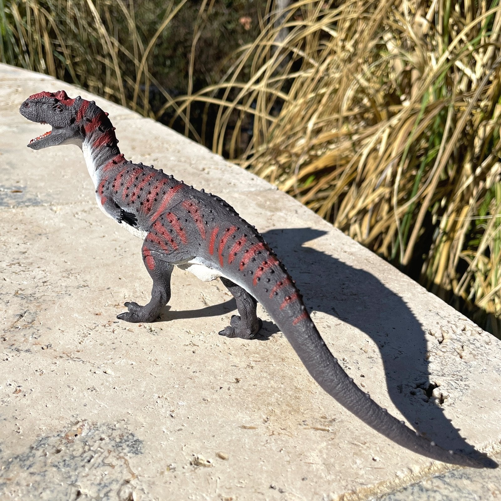 Majungasaurus Toy | Safari Ltd®