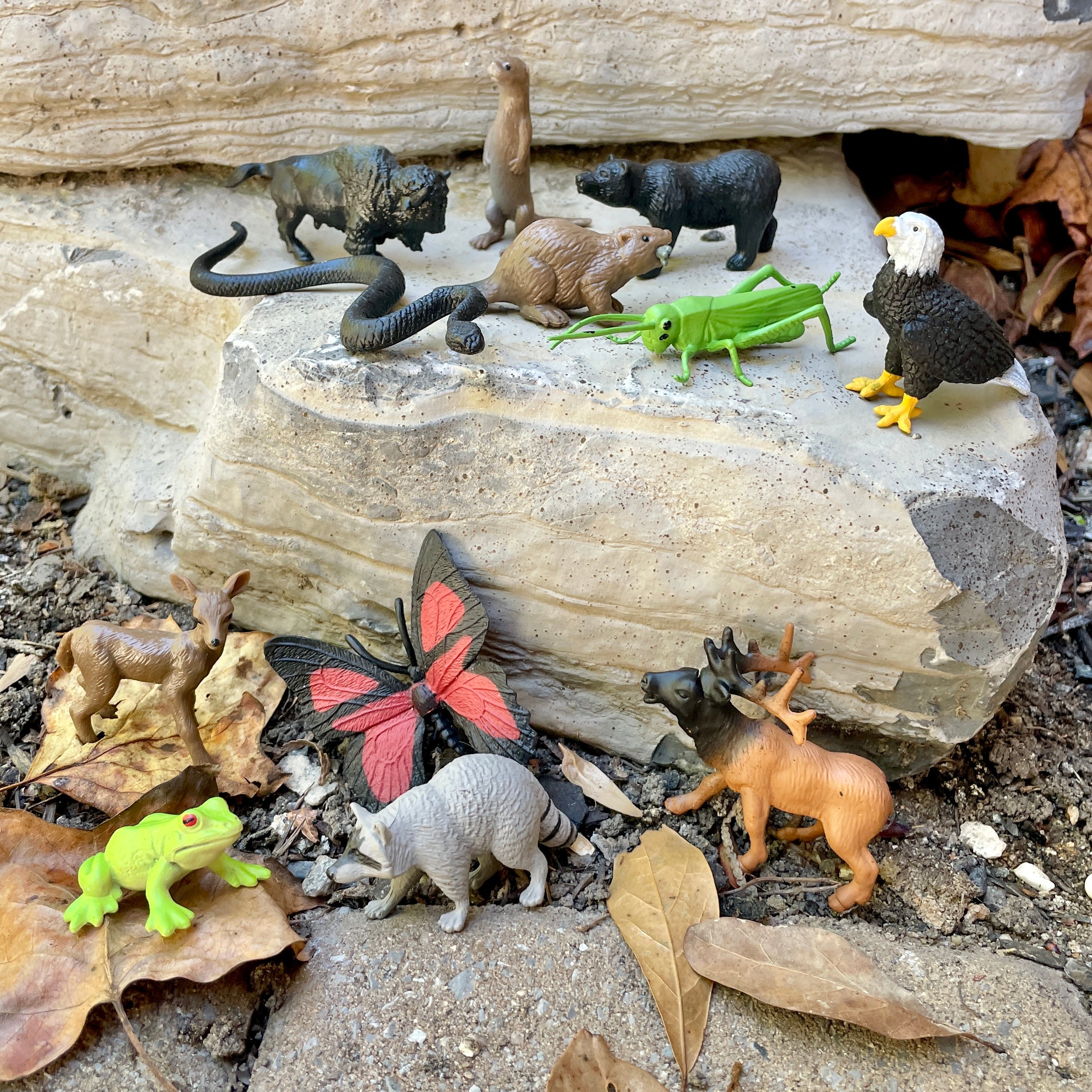 In the Woods TOOB® | TOOBS® - Mini Toys | Safari Ltd®