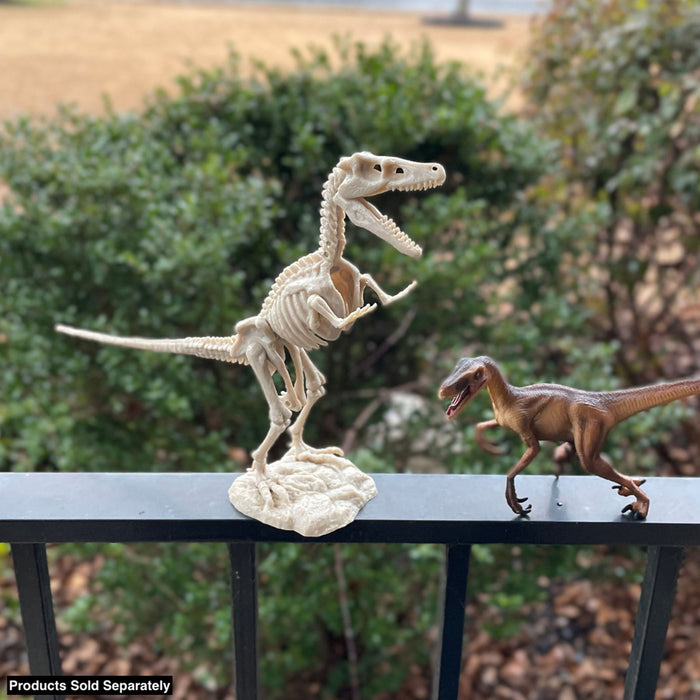 Dr. Steve Hunters GEOWorld Dino Dig Velociraptor Excavation Kit - 14 pieces |  | Safari Ltd®
