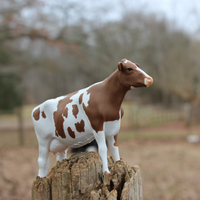 Ayrshire Cow Toy | Farm | Safari Ltd®