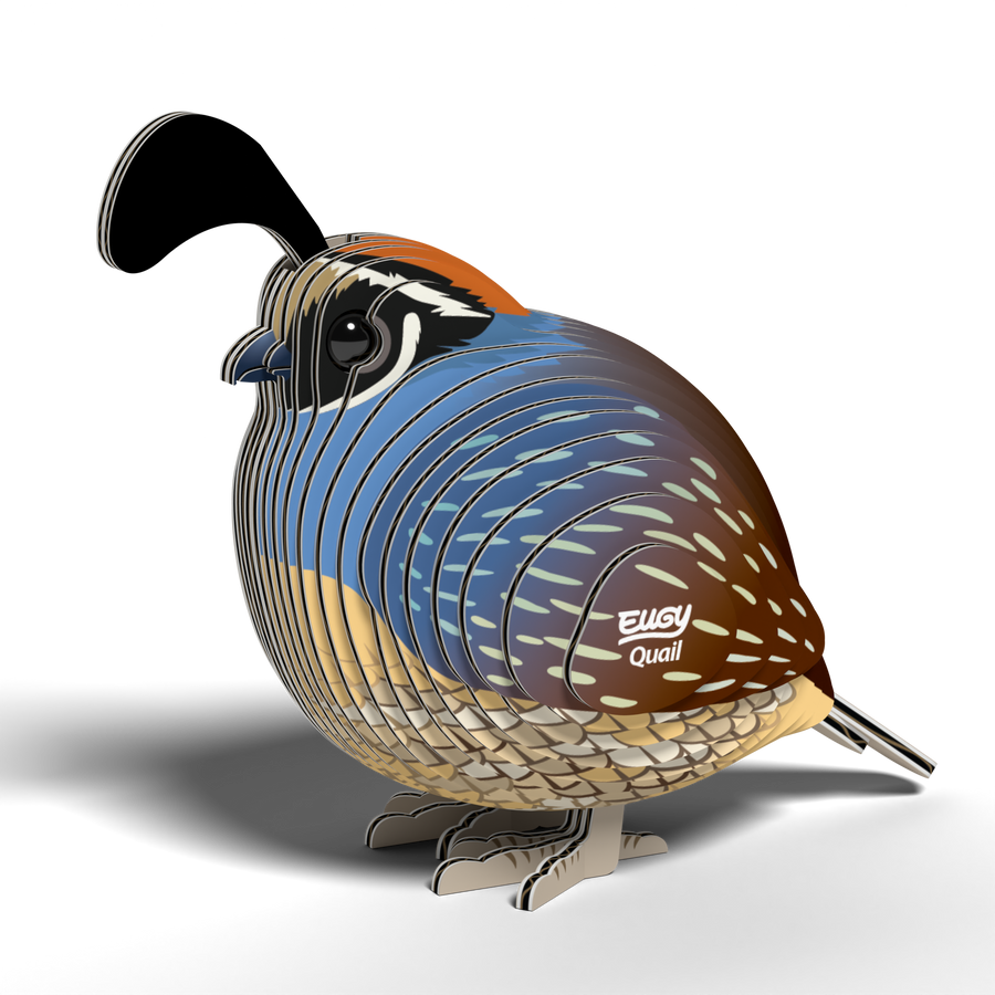EUGY Quail 3D Puzzle