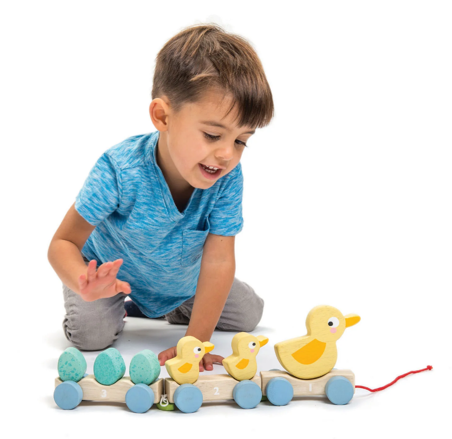 Tender Leaf Toys Pull Along Ducks