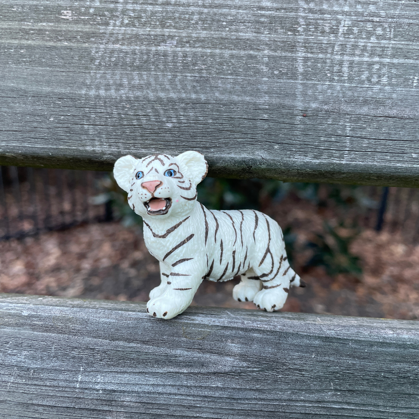 White Bengal Tiger Cub Toy | Wildlife Animal Toys | Safari Ltd®