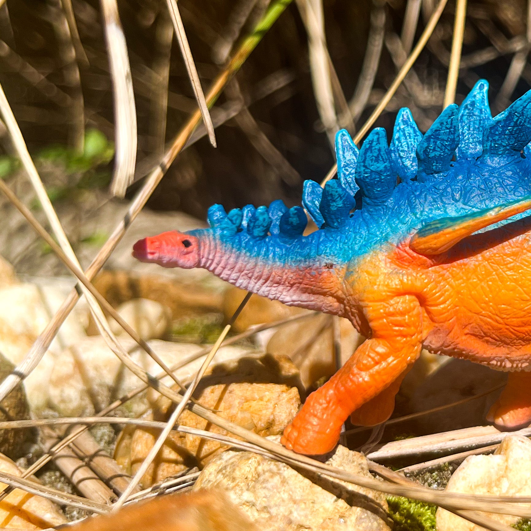 Kentrosaurus Toy Figurine – Detailed Jurassic Dinosaur Model