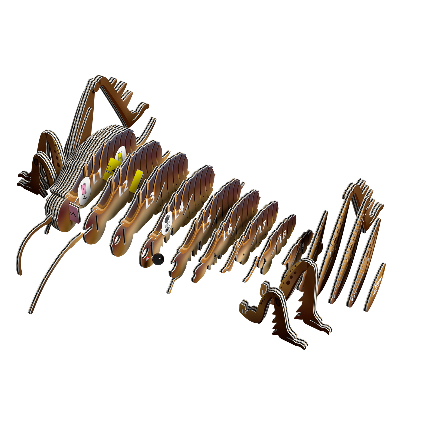 EUGY Giant Weta 3D Puzzle |  | Safari Ltd®