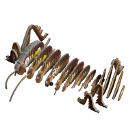 EUGY Giant Weta 3D Puzzle |  | Safari Ltd®