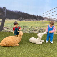 Petting Zoo TOOB® | TOOBS® - Mini Toys | Safari Ltd®
