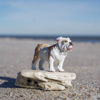 Bulldog Toy | Farm | Safari Ltd®