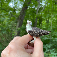 Osprey Toy Bird Figure |  | Safari Ltd®
