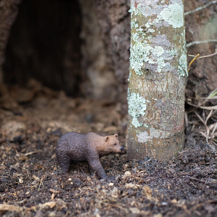Grizzly Bear Toy | Wildlife Animal Toys | Safari Ltd®
