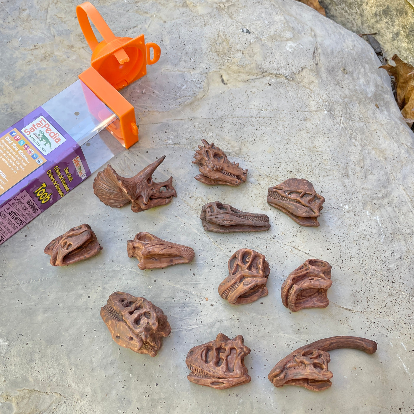 Dinosaur Skulls TOOB® Toy | TOOBS® - Mini Toys | Safari Ltd®