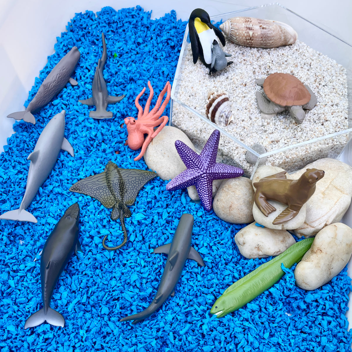 Ocean TOOB® | Safari Ltd®
