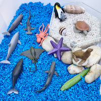 Ocean TOOB®