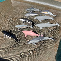 Dolphins TOOB® | TOOBS® - Mini Toys | Safari Ltd®