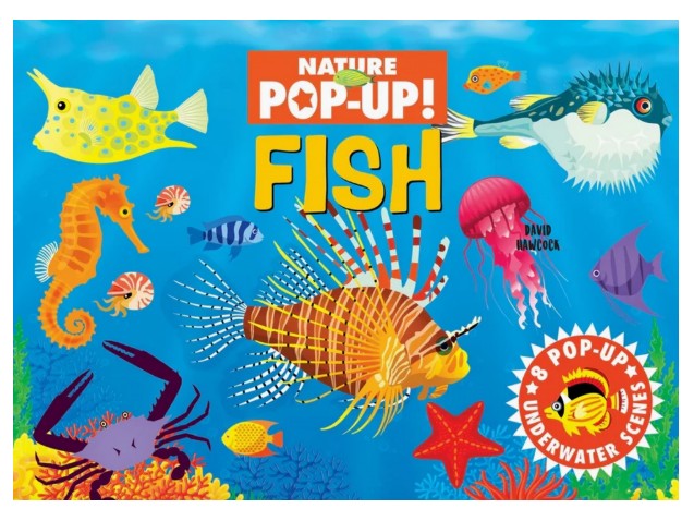 Pop-Up Book - Fish |  | Safari Ltd®
