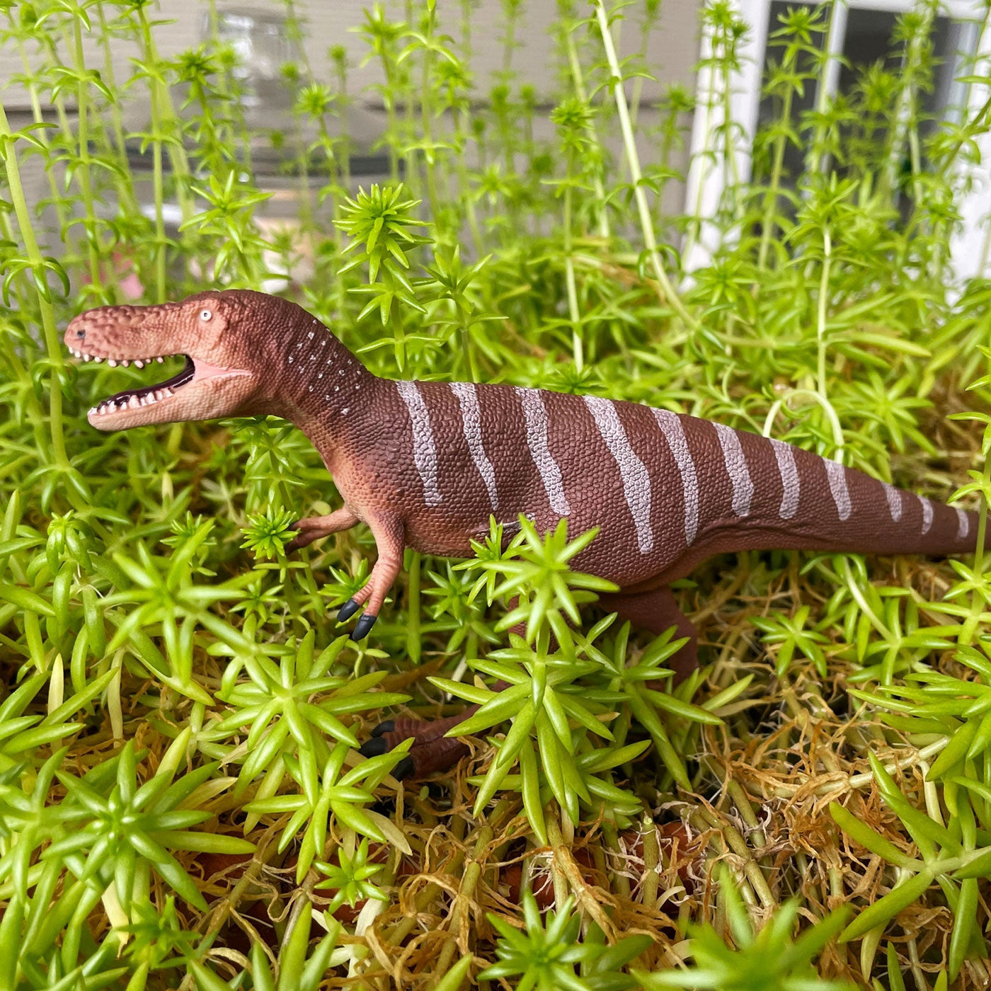 Dino Dana Nanotyrannus Toy Dinosaur Figure |  | Safari Ltd®