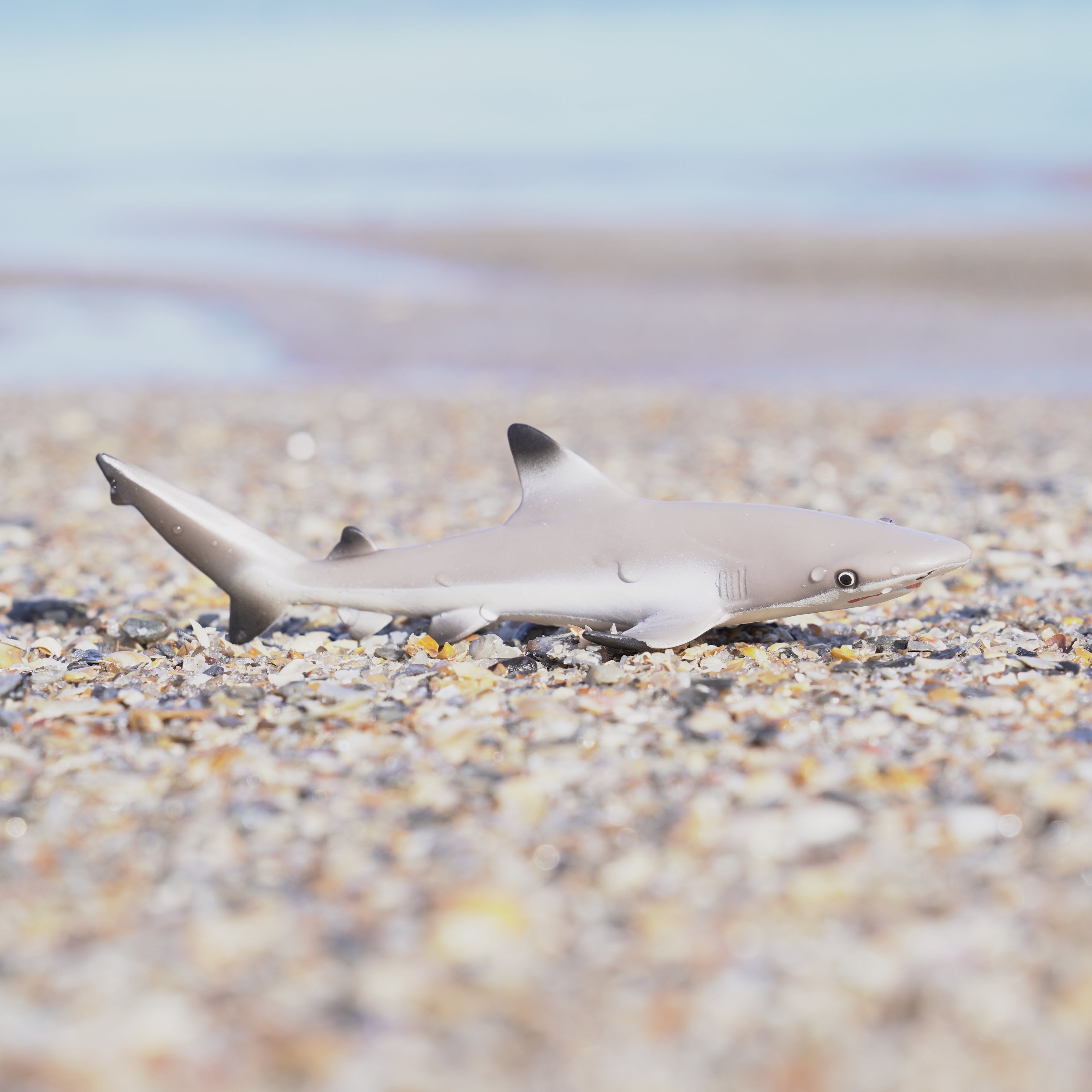 Blacktip Reef Shark Toy | Safari Ltd®