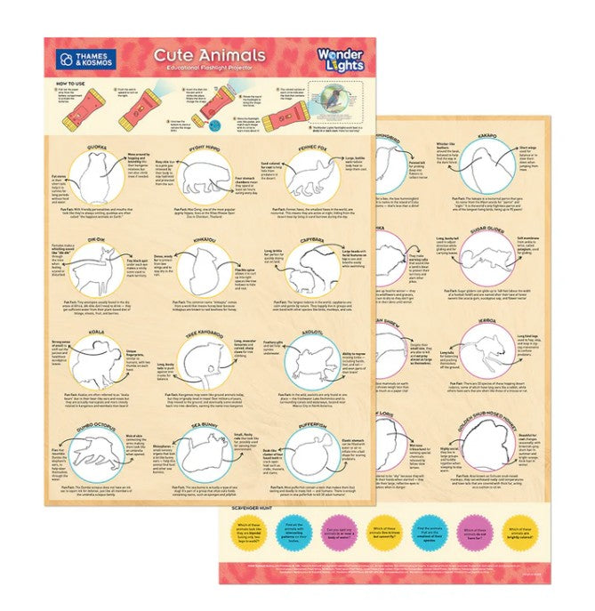 Wonder Lights: Cute Animals Educational Flashlight |  | Safari Ltd®