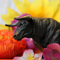 Black Bull Toy | Farm | Safari Ltd®