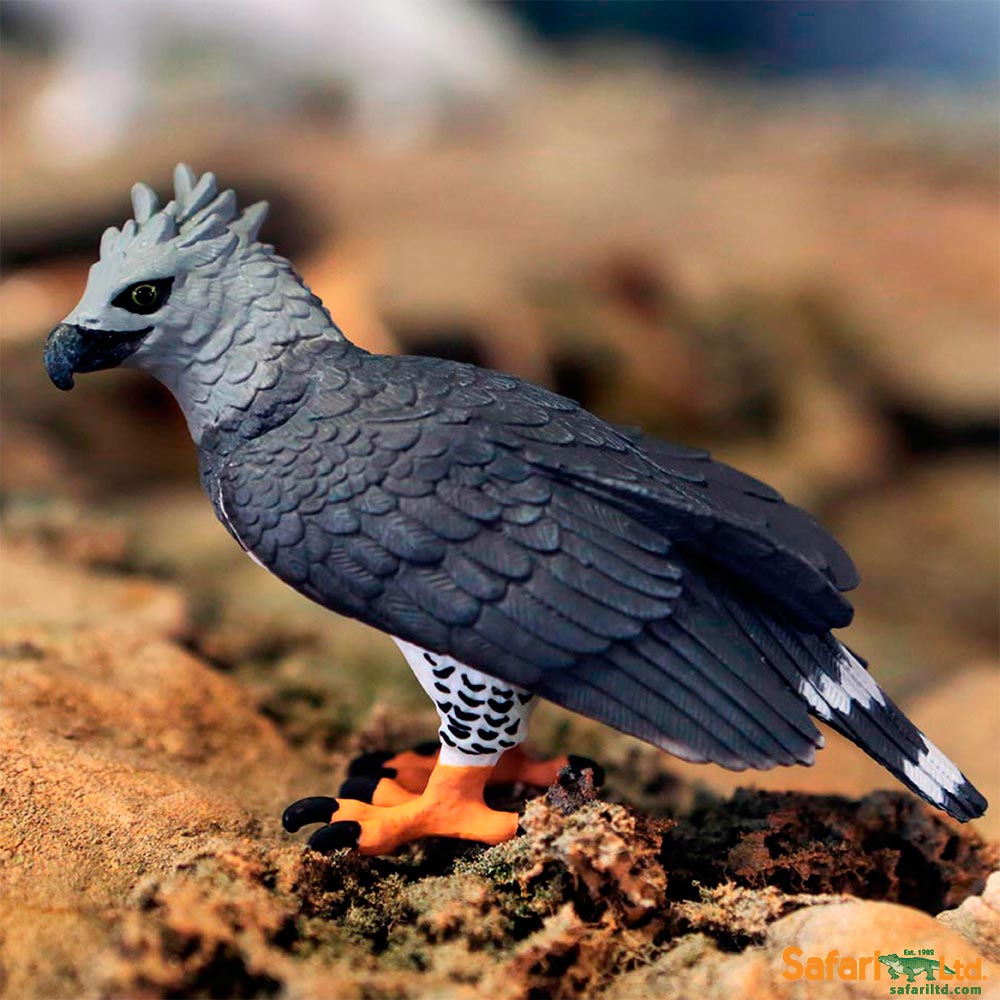 Harpy Eagle Toy | Wildlife Animal Toys | Safari Ltd®