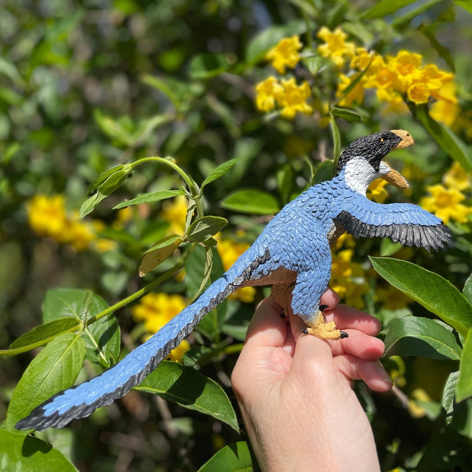 Hammond Collection Velociraptor Microraptor Safari Ltd - Modello Dinosauro Per Collezionisti E Appassionati Modello Dettagliato - Foto 4