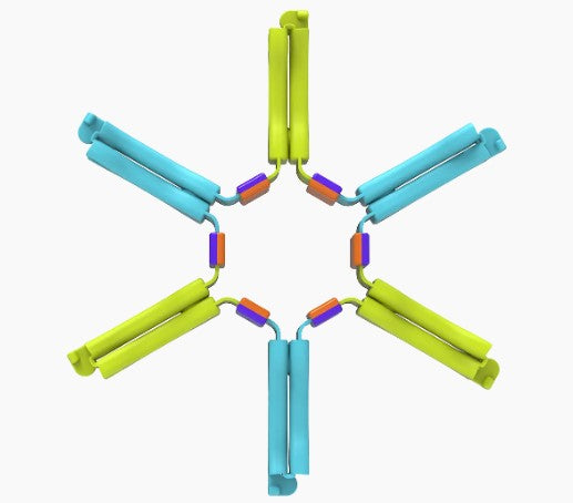 A 3D molecular model shows six pairs of yellow and blue segments arranged in a circular, star-like shape, connected at the center with small orange and purple connectors—resembling the Nockles - Loop sensory toy by Fun in Motion, designed to provide tactile feedback.