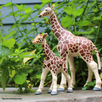 Giraffe Baby Toy | Wildlife Animal Toys | Safari Ltd®