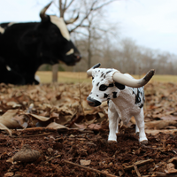 Texas Longhorn Bull Toy
