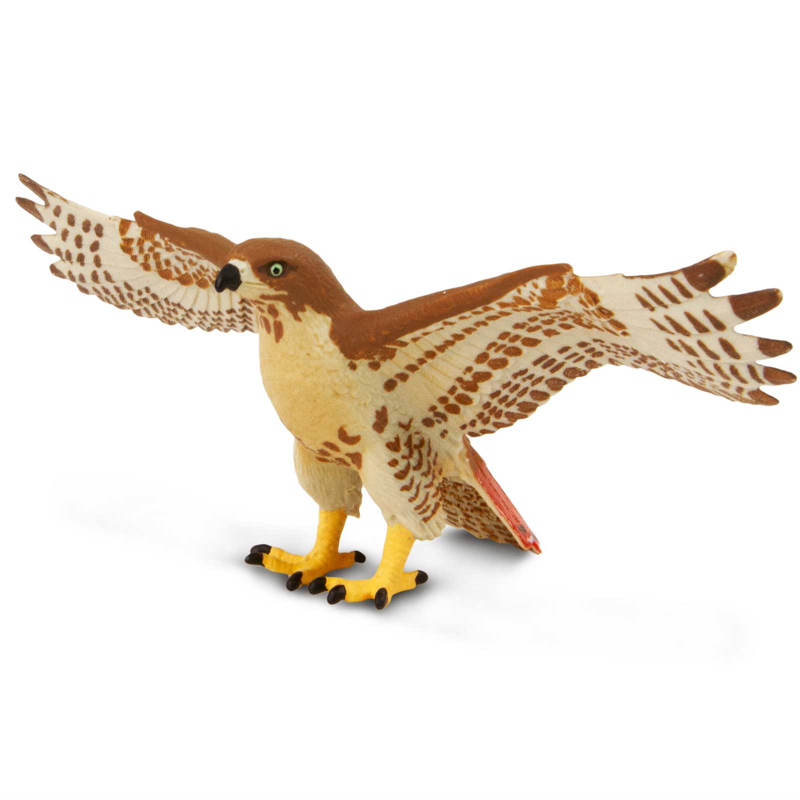 Red-Tailed Hawk Toy – Realistic Bird of Prey | Safari Ltd® | Safari Ltd®