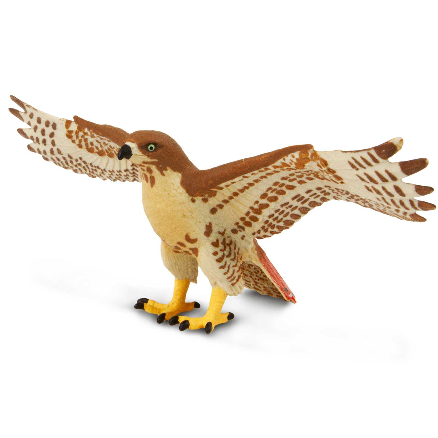 Red-Tailed Hawk Toy – Realistic Bird of Prey Safari Ltd