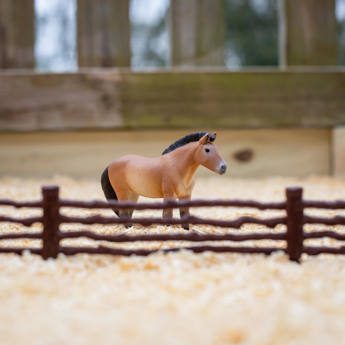 Przewalski's Horse Toy | Farm | Safari Ltd®