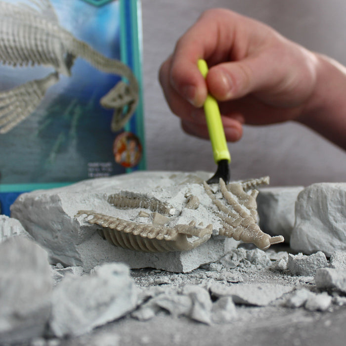 Dr. Steve Hunters GEOWorld Sea Monster Dig Elasmosaurus Excavation Kit - 15 pieces |  | Safari Ltd®