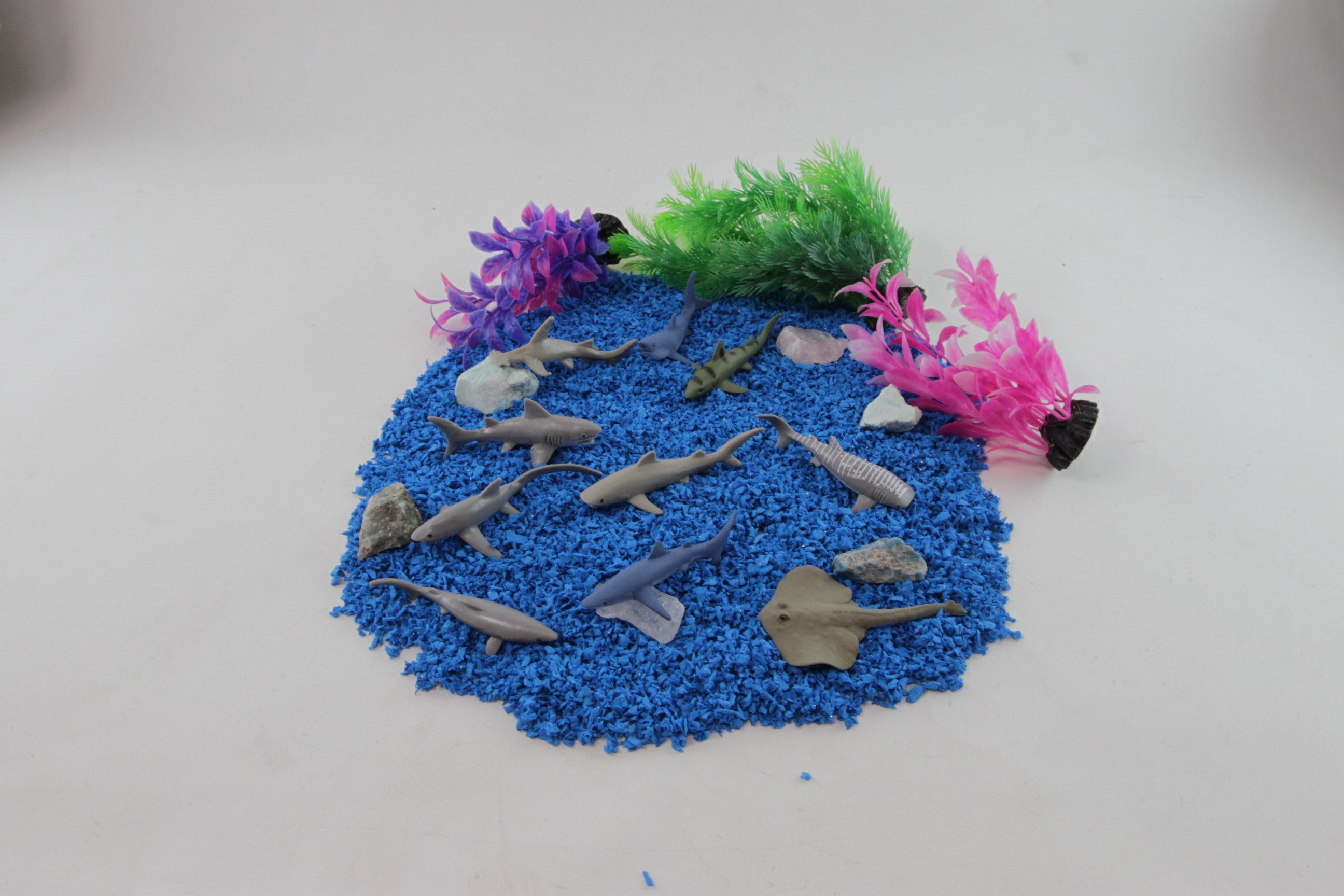 Sharks TOOB® | TOOBS® - Mini Toys | Safari Ltd®