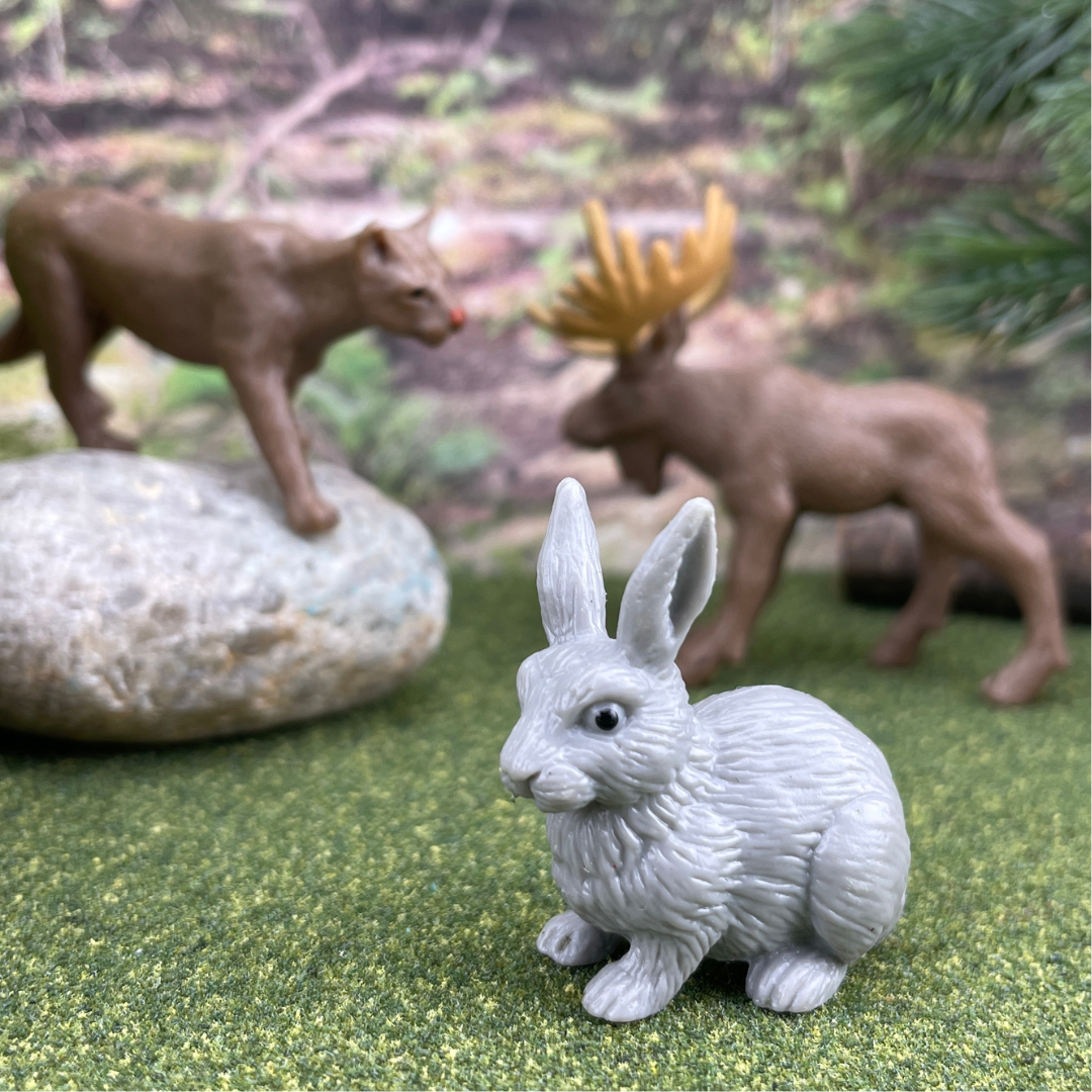 Nature TOOB® | TOOBS® - Mini Toys | Safari Ltd®