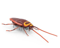 Hex Bots Nano Real Bugs 5-Pack |  | Safari Ltd®
